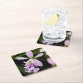 Epidendrumのcaligarium スクエアペーパーコースター (インサイチュ)