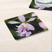 Epidendrumのcaligarium スクエアペーパーコースター (アングル)