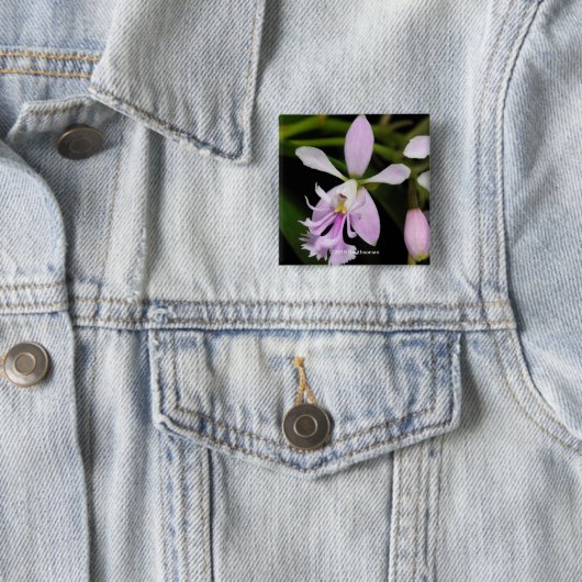 Epidendrumのcaligarium 缶バッジ (インサイチュ)