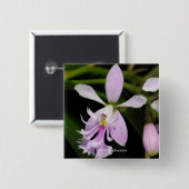 Epidendrumのcaligarium 缶バッジ (正面&裏面)
