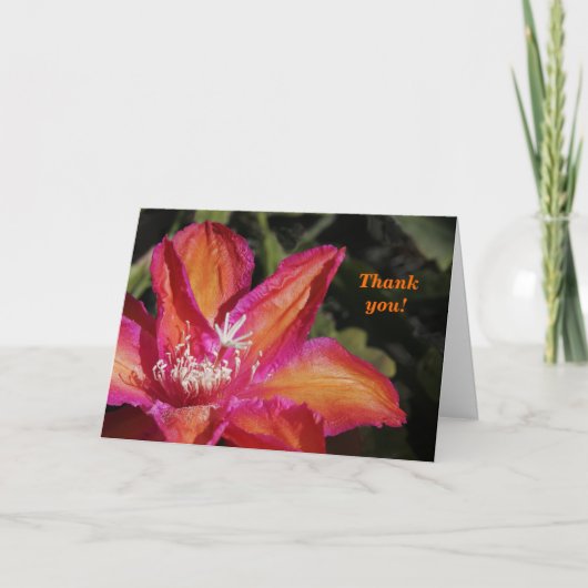 Epiphyllumのサンキューカード サンキューカード (正面)