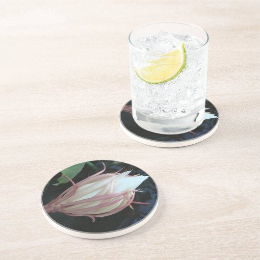 epiphyllum月下美人 コースター (側面)