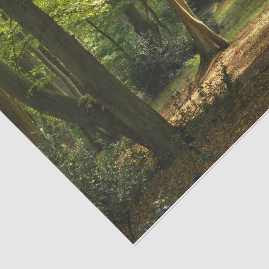 Eppingの森林 薄葉紙 (詳細)