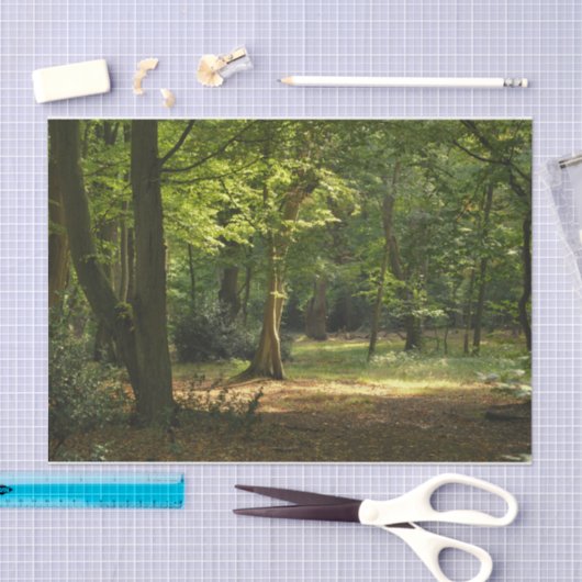 Eppingの森林 薄葉紙 (クラフト)