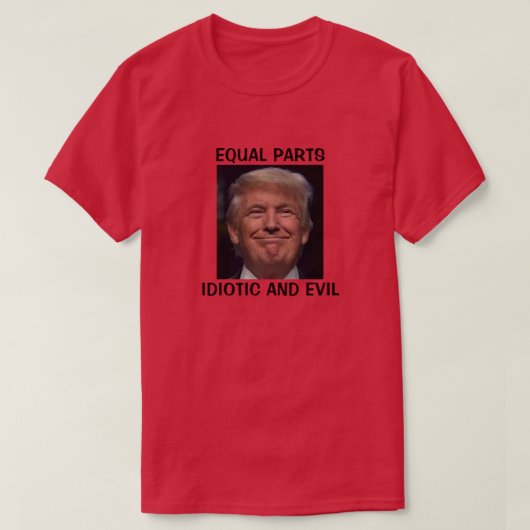 EQUAL PARTS IDIOTIC AND EVIL T-Shirt Tシャツ (デザイン正面)
