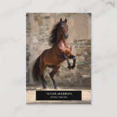 Equine Business Horse Trainer Equestrian Photo 名刺 (正面)
