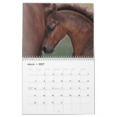 Equusの自然のままの馬のカレンダー カレンダー (3月 2027)
