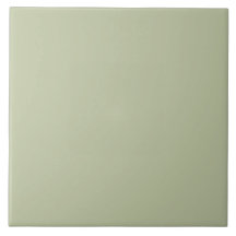 ER Sage Green bfc6a3 FN