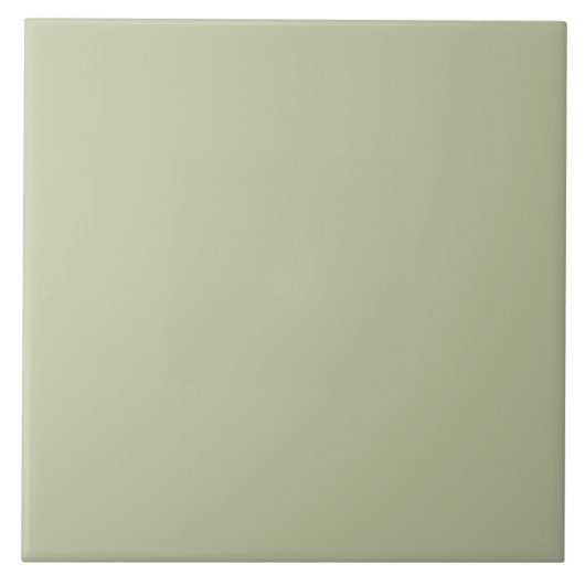 ER Sage Green bfc6a3 FN タイル (正面)