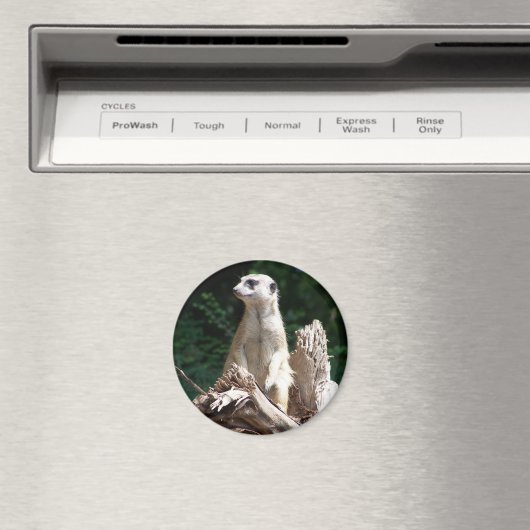 Erdmännchen マグネット (インサイチュ (食洗機))