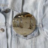 Erdmännchen Familie 缶バッジ (インサイチュ)