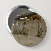 Erdmännchen Familie 缶バッジ (正面&裏面)