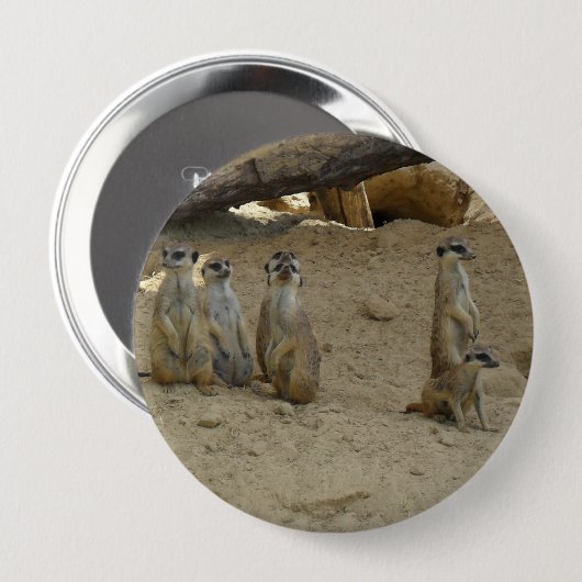 Erdmännchen Familie 缶バッジ (正面&裏面)