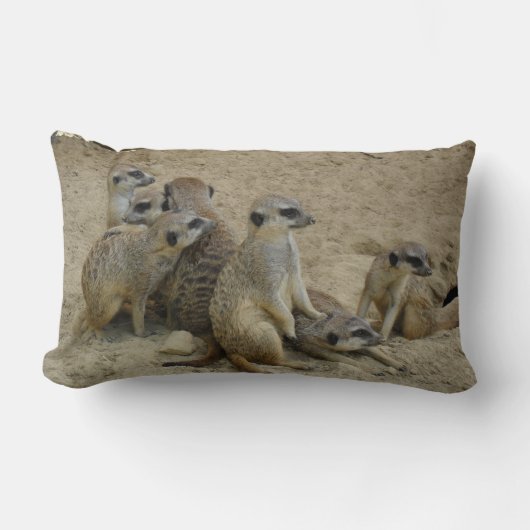 Erdmännchen Familie als Dekokissen ランバークッション (正面)