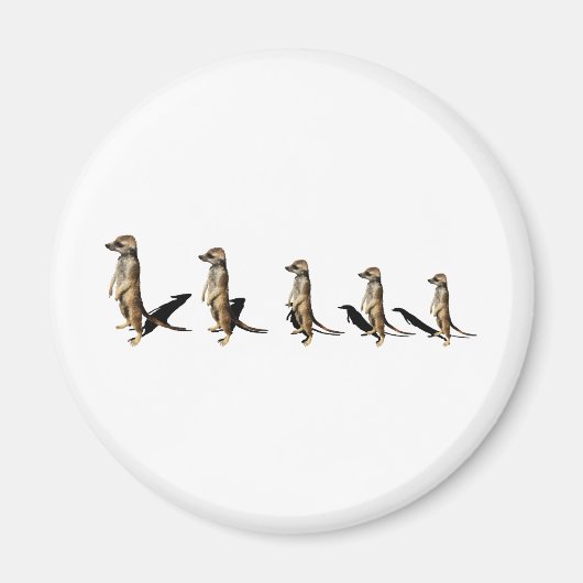 Erdmännchen in Reihe マグネット (正面)