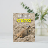 Erdmännchen-Postkarte ‚Nur kein Stress!‘ Postkarte ポストカード (スタンド正面)