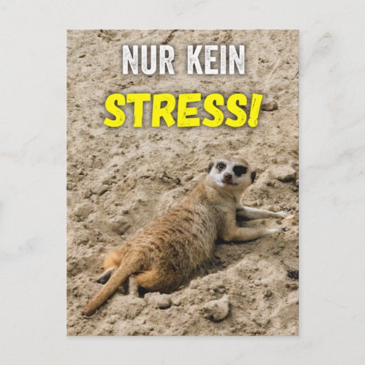 Erdmännchen-Postkarte ‚Nur kein Stress!‘ Postkarte ポストカード (正面)