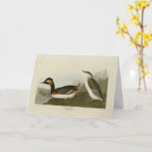 Ered Grebe （黒い首のgrebe） - Audubon カード (黄色い花)