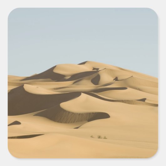 Erg Awbari、サハラ砂漠、フェザン、リビア。4 スクエアシール (正面)