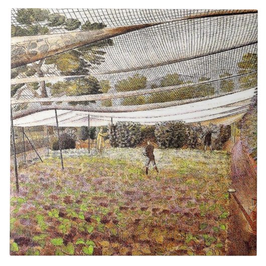 Eric Ravilious art、Strawberry Nets タイル (正面)