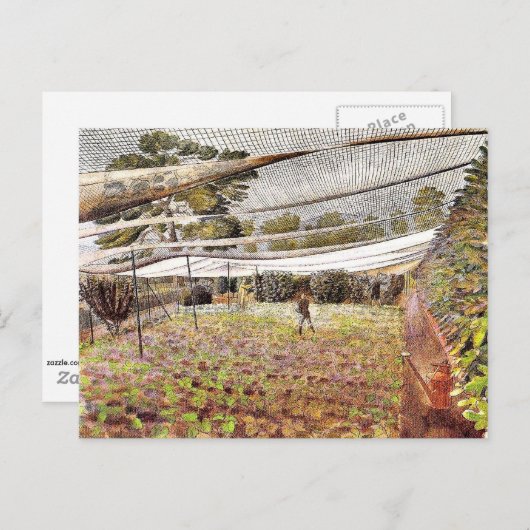 Eric Ravilious art, Strawberry Nets ポストカード (正面/裏面)
