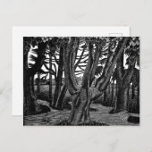 Eric Ravilious art、Woodland Outside Florence ポストカード (正面/裏面)