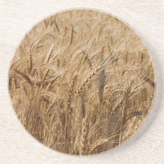 Erickのオクラホマのルート66 コースター (正面)