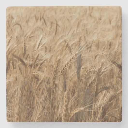 Erickのオクラホマのルート66 ストーンコースター (正面)