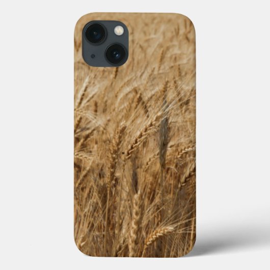 Erickのオクラホマのルート66 Case-Mate iPhoneケース (裏面)
