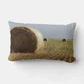 Erick、オクラホマ、米国-ルート66 ランバークッション (裏面)