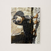 Eridoxのダックスフントのカルマの子犬のパズル ジグソーパズル (縦)