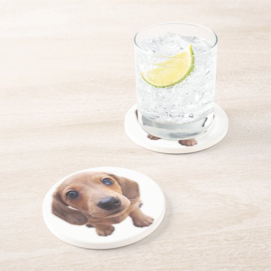 Eridoxのダックスフントの赤は子犬のJilorraのコースターをまだらにします コースター (側面)