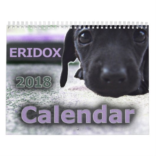 Eridoxのダックスフント2018のカレンダー カレンダー (カバー)