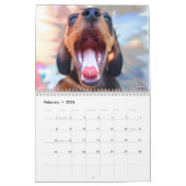 Eridoxのダックスフント2019のカレンダー カレンダー (2月 2026)