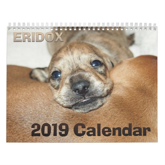 Eridoxのダックスフント2019のカレンダー カレンダー (カバー)