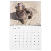 Eridox Dachshunds 2020カレンダー カレンダー (1月 2027)