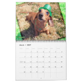 Eridox Dachshunds 2020カレンダー カレンダー (3月 2027)