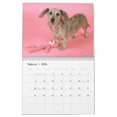 Eridox Dachshunds 2022カレンダー カレンダー (2月 2026)