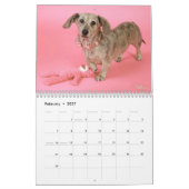 Eridox Dachshunds 2022カレンダー カレンダー (2月 2027)