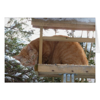 Ermのさえずり、さえずりか。
