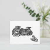 Ernest Nisterの子猫とヒキガエル – ヴィンテージ猫 ポストカード (スタンド正面)