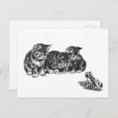 Ernest Nisterの子猫とヒキガエル – ヴィンテージ猫 ポストカード (正面/裏面)