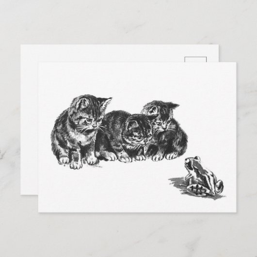 Ernest Nisterの子猫とヒキガエル – ヴィンテージ猫 ポストカード (正面/裏面)