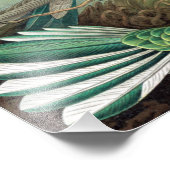 Ernstカラフル Haeckelポスターによるハミングバード フォトプリント (角)