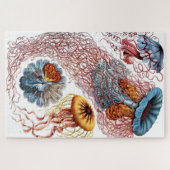 Ernst Haeckelによるクラゲ(Scheibenquallen) ジグソーパズル (横)