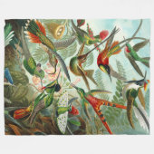 Ernst Haeckelによるゴージャスなアートハミングバード フリースブランケット (正面(横))