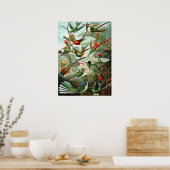 Ernst Haeckelによる素晴らしいハミングバード画像 ポスター (キッチン)