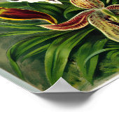 Ernst Haeckelによる蘭の品種 ポスター (角)