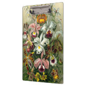 Ernst HaeckelのOrchidaceaeクリップボード クリップボード (左)