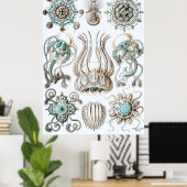 Ernst Haeckelポスター～ナルコメドゥサイ ポスター (ホームオフィス)